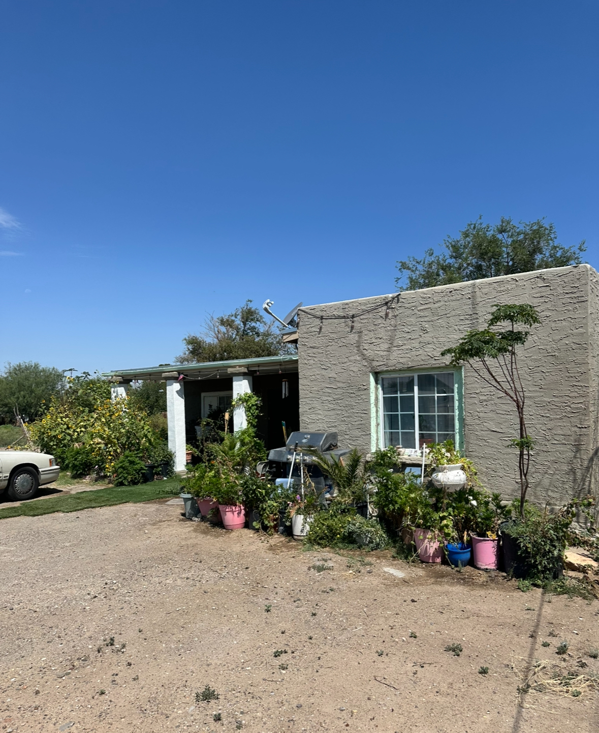 Rural Homestead
